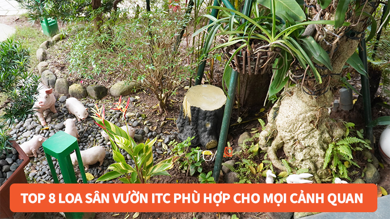 Top 8 loa sân vườn ITC phù hợp và đáng đầu tư nhất cho mọi cảnh quan